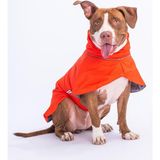 Pawstar Colombia Turuncu Su Geçirmez Orta-Büyük Irk Köpek Pratik Yağmurluk (XS)