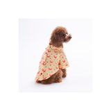 Pawstar Coral Charm Kedi Köpek Gömleği - Kedi Köpek Kıyafeti-Kedi Gömlek-Köpek Gömlek