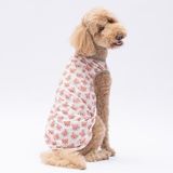 PawStar Cute Bears Orta-Büyük Irk Köpek T-shirtü (4XL)