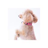 Pawstar Daisy Papatya Desenli Köpek Boyun Tasması Ayarlanabilir Köpek Tasması