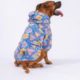 Pawstar Dinosaurum Fileli Orta ve Büyük Irk Köpek Montu Köpek Yağmurluk Köpek Elbisesi Köpek Kıyafeti 3XL