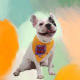 Pawstar Dont Panic Kedi Köpek Fuları Pet Bandanası - 2 - Sarı