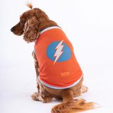 Pawstar Flash Mesh Kedi Köpek Tişörtü - Kedi Köpek Kıyafeti Large