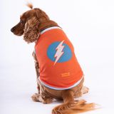 Pawstar Flash Mesh Kedi Köpek Tişörtü - Kedi Köpek Kıyafeti Small