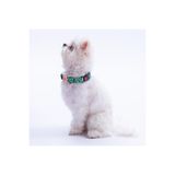 Pawstar Frog Kurbağa Desenli Köpek Boyun Tasması Ayarlanabilir Köpek Tasması