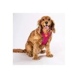 Pawstar Fuşya Air-mesh Göğüs Tasması Kedi Köpek Göğüs Tasması Fuşya XL