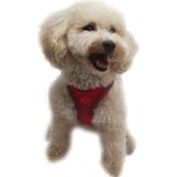 Pawstar Fuşya Air-Mesh Göğüs Tasması Kedi Köpek Göğüs Tasması S