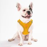 Pawstar Gold Air-mesh Göğüs Tasması Kedi Köpek Göğüs Tasması Gold 3XS
