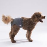 Pawstar Gri Kedi Köpek Çamrı Kilodu Kedi Köpek Kıyafeti - 0 NO