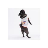 Pawstar Gri Sporty Kedi Köpek Tişörtü - Kedi Köpek Kıyafeti Gri M