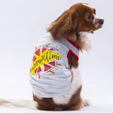 Pawstar Gri Summer Time Kedi Köpek Tişörtü - Kedi Köpek Kıyafeti S