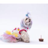 Pawstar Happy Birthday Kedi Köpek Elbisesi - Kedi Köpek Kıyafeti