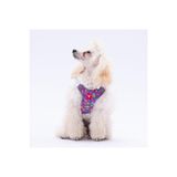 Pawstar Hearts Air-Mesh Kedi Köpek Göğüs Tasması