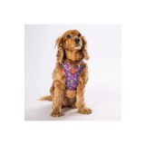 Pawstar Hearts Air-mesh Köpek Göğüs Tasması Mor L