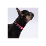 Pawstar Hearts Kalp Desenli Köpek Boyun Tasması Ayarlanabilir Köpek Tasması