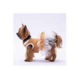 Pawstar Kahverengi Primavera Kedi Köpek Elbisesi - Kedi Köpek Kıyafeti