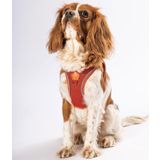 Pawstar Kiremit Air-mesh Göğüs Tasması Kedi Köpek Göğüs Tasması M