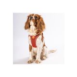 Pawstar Kiremit Air-Mesh Göğüs Tasması Kedi Köpek Göğüs Tasması