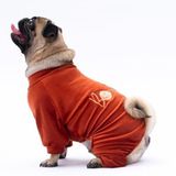 Pawstar Kiremit Bonjour Kadife Küçük Irk Köpek Tulumu (M)