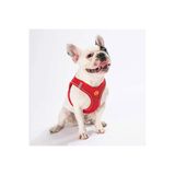 Pawstar Kırmızı Air-mesh Göğüs Tasması Kedi Köpek Göğüs Tasması Kırmızı 3XS