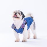 Pawstar Lacivert Diametro Su Geçirmez Küçük Irk Köpek Yağmurluğu (M)