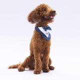 Pawstar Lacivert Smokin Kedi Köpek Fuları Pet Bandanası 1