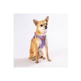 Pawstar Lila Air-mesh Göğüs Tasması Kedi Köpek Göğüs Tasması Medium