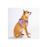 Pawstar Lila Air-Mesh Gogus Tasmasi Kedi Kopek Gogus Tasmasi