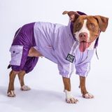 Pawstar Lila-Mor Bicolor Orta ve Büyük Irk Köpek Tulum Yağmurluğu Köpek Yağmurluk Köpek Kıyafeti - 4XL