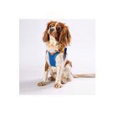 Pawstar Mavi Air-mesh Göğüs Tasması Kedi Köpek Göğüs Tasması Mavi 3XS