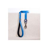 Pawstar Mavi Leash Kedi Köpek Sevk & Gezdirme Kayışı Köpek Uzatma Tasması