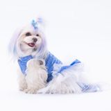 Pawstar Mavi Primavera Kedi Köpek Elbisesi - Kedi Köpek Kıyafeti L