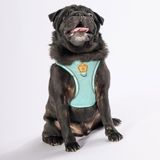 Pawstar Mint Air-mesh Göğüs Tasması Kedi Köpek Göğüs Tasması Mint XL