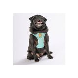 Pawstar Mint Air-mesh Göğüs Tasması Kedi Köpek Göğüs Tasması
