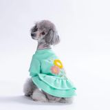 Pawstar Mint Arosa Nivalis Küçük Irk Köpek Elbisesi (M)