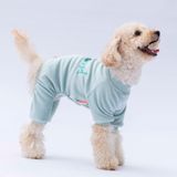 Pawstar Mint Bonjour Kadife Küçük Irk Köpek Tulumu - 2XL