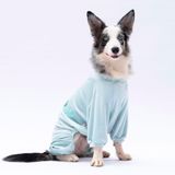 Pawstar Mint Bonjour Kadife Orta-Büyük Irk Köpek Tulumu - 5XL