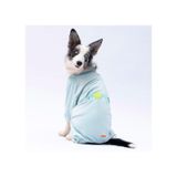 Pawstar Mint Bonjour Kadife Orta-büyük Irk Köpek Tulumu
