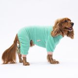 Pawstar Mint Smile Kadife Küçük Irk Köpek Tulumu (1 kg-10 kg arasına uygun bedenlerde) (2XL)