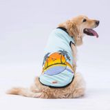 Pawstar Mint Sunrise Büyük Köpek Tişörtü - Köpek Kıyafeti (15 Kg-45 Kg) - 3XL