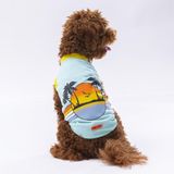 Pawstar Mint Sunrise Kedi Köpek Tişörtü - Kedi Köpek Kıyafeti S