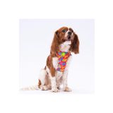 Pawstar Monsters Air-mesh Göğüs Tasması Kedi Köpek Göğüs Tasması