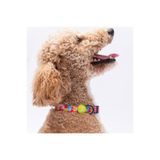 Pawstar Monsters Canavar Desenli Köpek Boyun Tasması Ayarlanabilir Köpek Tasması