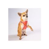Pawstar Neon Pembe Air-mesh Göğüs Tasması Kedi Köpek Göğüs Tasması Neon Pembe S