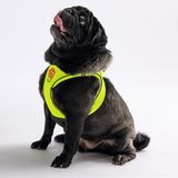 Pawstar Neon Sarı Air-mesh Göğüs Tasması Kedi Köpek Göğüs Tasması Neon Sarı XL