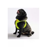 Pawstar Neon Sarı Air-mesh Göğüs Tasması Kedi Köpek Göğüs Tasması Neon Sarı XL