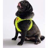 Pawstar Neon Sarı Air-mesh Göğüs Tasması Kedi Köpek Göğüs Tasması