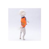 Pawstar Neon Turuncu Happy Day Kedi Köpek Tişörtü - Kedi Köpek Kıyafeti