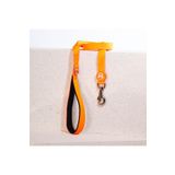 Pawstar Neon Turuncu Leash Kedi Köpek Sevk & Gezdirme Kayışı Köpek Uzatma Tasması
