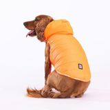 PawStar Neon Turuncu Railway Küçük Irk Köpek Yağmurluğu